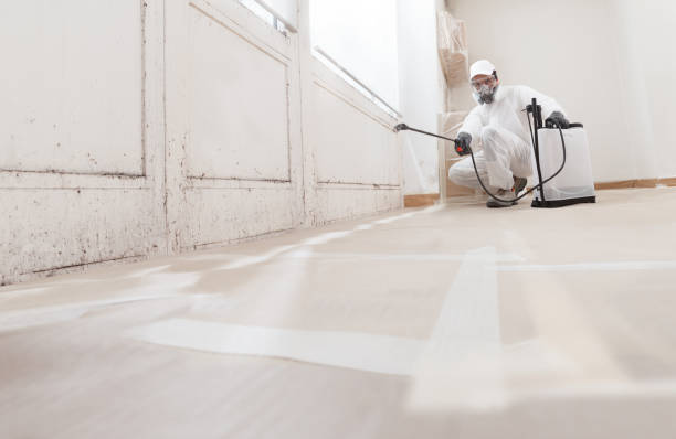 24/7 Emergency Mold Remediation experts in North Pekin, IL